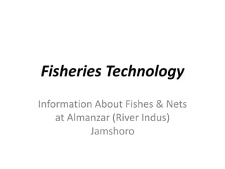 Fisheries Technology
Information About Fishes & Nets
at Almanzar (River Indus)
Jamshoro
 