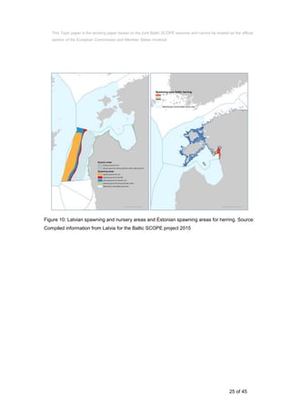 25 of 45
Figure 10: Latvian spawning and nursery areas and Estonian spawning areas for herring. Source:
Compiled information from Latvia for the Baltic SCOPE project 2015
This Topic paper is the working paper based on the joint Baltic SCOPE exercise and cannot be treated as the official
opinion of the European Commission and Member States involved.
 