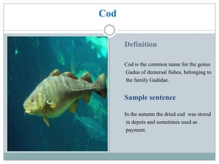 ESP T_Kit on Fishery | PPTX