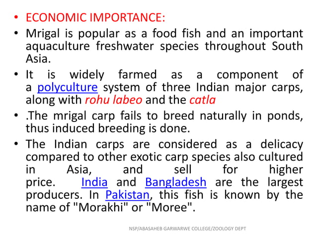 Economic important fishes | PPTX