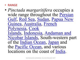 • RANGE
• Pinctada margaritifera occupies a
wide range throughout the Persian
Gulf, Red Sea, Sudan, Papua New
Guinea, Australia, French
Polynesia, Cook
Islands, Indonesia, Andaman and
Nicobar Islands, South-western part
of the Indian Ocean, Japan and
the Pacific Ocean, and various
locations on the coast of India.
NSP/ABASAHEB GARWARWE COLLEGE/ZOOLOGY DEPT
 