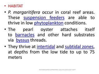 • HABITAT
• P. margaritifera occur in coral reef areas.
These suspension feeders are able to
thrive in low phytoplankton conditions.
• The pearl oyster attaches itself
to barnacles and other hard substrates
via byssus threads.
• They thrive at intertidal and subtidal zones,
at depths from the low tide to up to 75
meters
NSP/ABASAHEB GARWARWE COLLEGE/ZOOLOGY DEPT
 