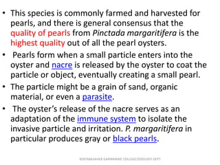 • This species is commonly farmed and harvested for
pearls, and there is general consensus that the
quality of pearls from Pinctada margaritifera is the
highest quality out of all the pearl oysters.
• Pearls form when a small particle enters into the
oyster and nacre is released by the oyster to coat the
particle or object, eventually creating a small pearl.
• The particle might be a grain of sand, organic
material, or even a parasite.
• The oyster’s release of the nacre serves as an
adaptation of the immune system to isolate the
invasive particle and irritation. P. margaritifera in
particular produces gray or black pearls.
NSP/ABASAHEB GARWARWE COLLEGE/ZOOLOGY DEPT
 
