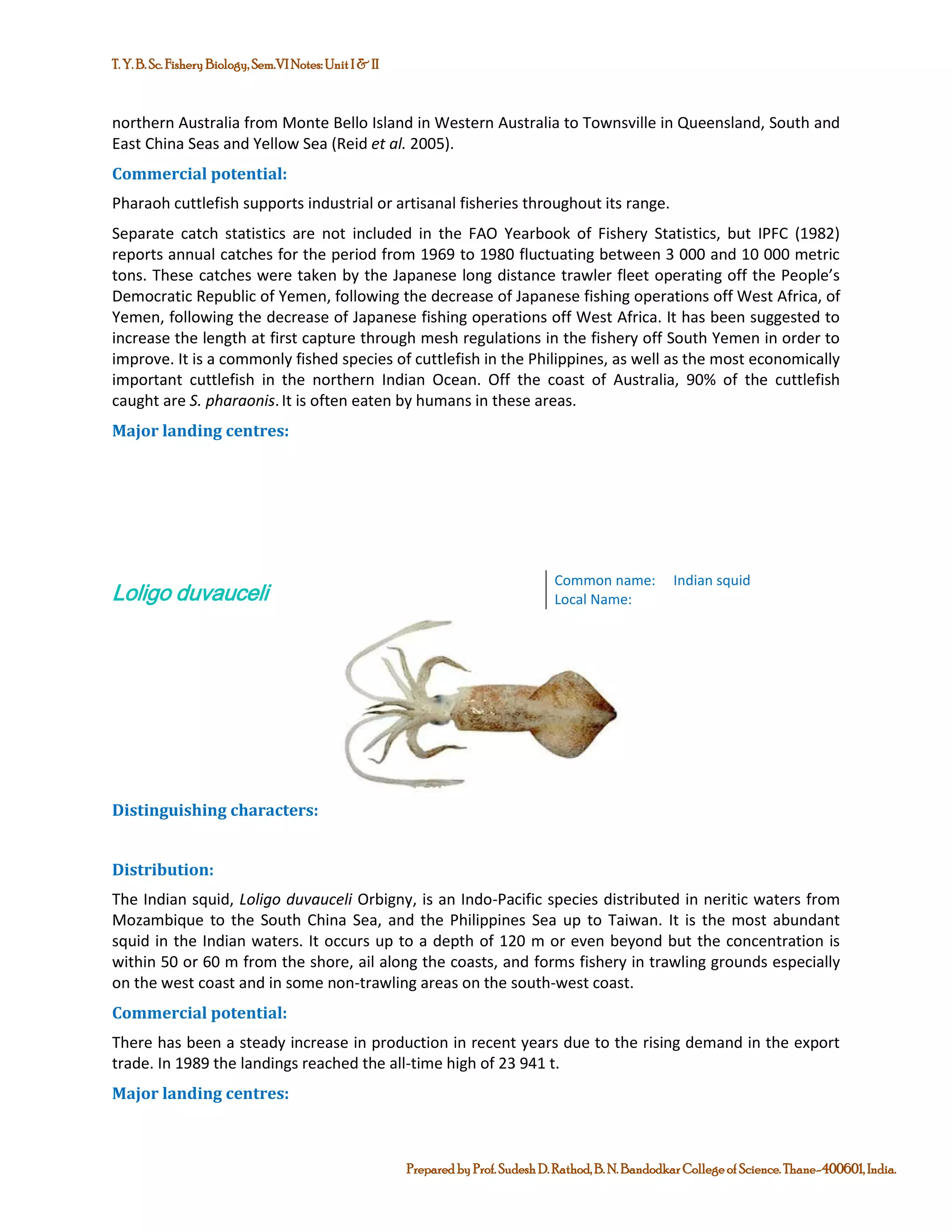 Marine Commercial Fin- fish and Shell-finsh Fisheries of India | PDF