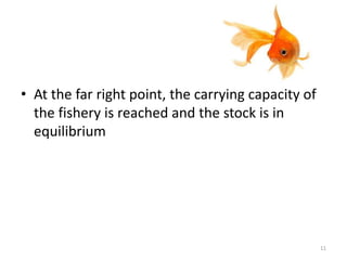 • At the far right point, the carrying capacity of
the fishery is reached and the stock is in
equilibrium
11
 