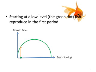 • Starting at a low level (the green dot) fish
reproduce in the first period
12
Growth Rate
Stock Size(kg)
 