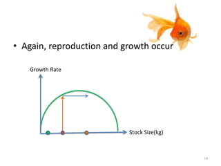 • Again, reproduction and growth occur
14
Growth Rate
Stock Size(kg)
 