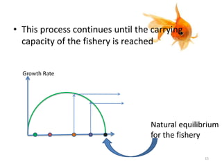 • This process continues until the carrying
capacity of the fishery is reached
Natural equilibrium
for the fishery
15
Growth Rate
 