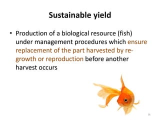 Sustainable yield
• Production of a biological resource (fish)
under management procedures which ensure
replacement of the part harvested by re-
growth or reproduction before another
harvest occurs
16
 