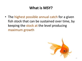 What is MSY?
• The highest possible annual catch for a given
fish stock that can be sustained over time, by
keeping the stock at the level producing
maximum growth
17
 
