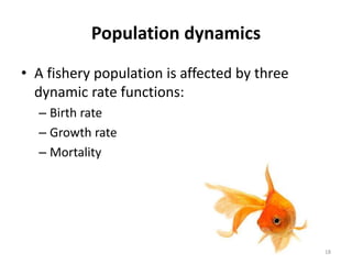 Population dynamics
• A fishery population is affected by three
dynamic rate functions:
– Birth rate
– Growth rate
– Mortality
18
 