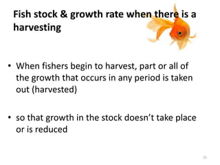 Fish stock & growth rate when there is a
harvesting
• When fishers begin to harvest, part or all of
the growth that occurs in any period is taken
out (harvested)
• so that growth in the stock doesn’t take place
or is reduced
25
 