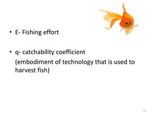 • E- Fishing effort
• q- catchability coefficient
(embodiment of technology that is used to
harvest fish)
29
 