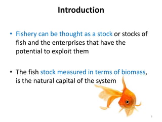 Introduction
• Fishery can be thought as a stock or stocks of
fish and the enterprises that have the
potential to exploit them
• The fish stock measured in terms of biomass,
is the natural capital of the system
3
 