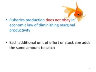 • Fisheries production does not obey in
economic law of diminishing marginal
productivity
• Each additional unit of effort or stock size adds
the same amount to catch
30
 