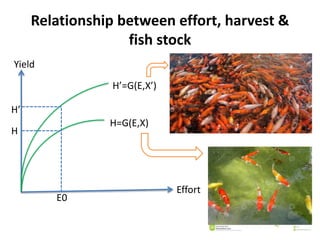 Relationship between effort, harvest &
fish stock
Yield
Effort
E0
H’
H
H=G(E,X)
H’=G(E,X’)
31
 