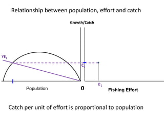 Fishing EffortPopulation
Relationship between population, effort and catch
0
Catch per unit of effort is proportional to population
Growth/Catch
YE1
e1
C1
 