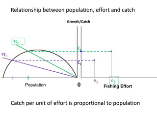 Fishing EffortPopulation
Relationship between population, effort and catch
0
Catch per unit of effort is proportional to population
Growth/Catch
C1
YE1
e1
YE2
e2
C2
 