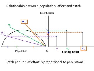 Fishing EffortPopulation
Relationship between population, effort and catch
0
Catch per unit of effort is proportional to population
Growth/Catch
YE2
C2
C1
YE1
e1 e2
YE3
e3
C3
 