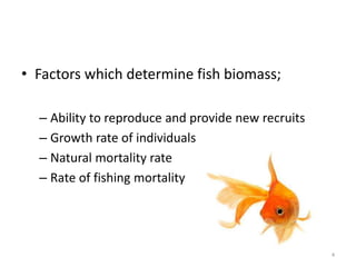 • Factors which determine fish biomass;
– Ability to reproduce and provide new recruits
– Growth rate of individuals
– Natural mortality rate
– Rate of fishing mortality
4
 