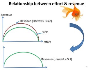 Relationship between effort & revenue
Revenue
effort
yield
Revenue (Harvest× Price)
Revenue=(Harvest × $ 1)
45
 