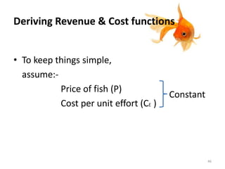 Deriving Revenue & Cost functions
• To keep things simple,
assume:-
Price of fish (P)
Cost per unit effort (CE )
Constant
46
 