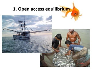 1. Open access equilibrium
53
 