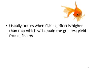 • Usually occurs when fishing effort is higher
than that which will obtain the greatest yield
from a fishery
56
 