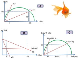 TR/TC
E’ E0
TC”
TC
TR0
AB
H0
Effort
MC/MR
E’ E0MR
MC=AC
AR
Effort
X0 X’Xmsy
H0
Growth rate
Biomass
H0=G(E0,X)
H’=G(E’,X)
A
CB
57
 