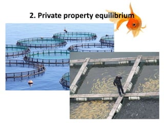 2. Private property equilibrium
58
 
