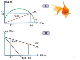 TR & TC
Rent
TR
TC
E* E0
H*
H0
Effort
E0E*
Rent
Unit Effort
Effort
MR
MC
AR
A
B
60
 