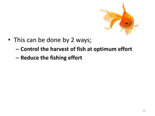 • This can be done by 2 ways;
– Control the harvest of fish at optimum effort
– Reduce the fishing effort
65
 