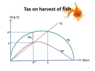 Tax on harvest of fish
Effort
TR & TC
Tax
Y*
Y’
E* E
TR
TC
TR’
67
 