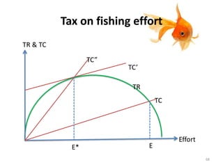 Tax on fishing effort
TR & TC
Effort
TR
TC’
TC”
TC
E* E
68
 