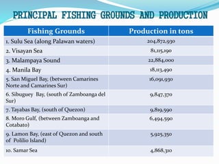 Fishery in Philippines