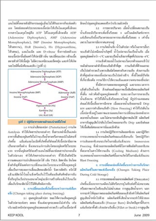⌫                                                                                                                                                               ⌦
                                                                                                                                                                                   ⌫                                                                                                                                                               ⌫
                                                                                                                                             ⌫                                                                                               ⌫                                   ⌦
                                                                                                                                                                                                                                                                                                                       ⌦
                                                                                                                                                                                                                                                         ⌫
                                   ⌧                                                                                     ⌧                                         ⌧
                                                           ⌫                                                                                         ⌦
                               ⌫                                                            ⌫⌫                                           ⌫                                                                                                                                                                                     ⌫               ⌫
                                                               ⌫                                     ⌫
             ⌫                                                                                   ⌫                                                                                                                   ⌦                                       ⌦                                       ⌫                                                             ⌫
                                                   Adenosine Triphosphate (ATP)

                                           Adenosine Diphosphate (ADP)                                                                                                                                                   ⌫                                                                                                                                 ⌫                   ⌫
                                   Adenosine Monophosphate (AMP)
                                                                                                                                                                                                               ⌫ ⌫                                                   ⌫

                                                                                                                                                                                                                                                                                             ⌦
Inosine Monophosphate (IMP)                                                                                                                      Adenosine (AdR)
         Inosine (HxP)                                                                                                                                       Inosine (HxP)
                                                                                                                                                                                                                                                                                                                                       ⌫
                                                                       Hypoxanthine (Hx)
                                                                                                                                                                                                                                                                         ⌫                                                                                             ⌫
                                                                                                                                                                                                                                                                                                                                                                                   ⌫
                                                                                    Xanthine (Xa)
                                                                                Uric Acid (UA)
                                                                                                                                                                                                                                         ⌦                                                                                         ⌫

                           ⌫                                                                                                                     ⌫                                                                                   ⌦               ⌫           ⌫
                                                                            ⌫                                                                                                                                                                                                        ⌫
                                                                                                                                 ⌦                                     ⌫
                 ⌫                                 ⌫                                                                                                                                               ⌫
     ⌦                                                                      ⌫ ⌫                          ⌦                                                                             ⌫                                                                                                         ⌫
                                               ⌦                                                                                                                           ⌫                                                                     ⌦                                                            ⌫
                                       ⌫                                                                             ⌦                                                                                         ⌫
                                                                                                                                                         ⌫                                 ⌫                                                                                                                                                                   ⌫
                                                       ⌫                                                                                                                       ⌫
                     ⌫ ⌫                                                ⌫                                                                                      ⌫                                                                                                             ⌫                           ⌫         ⌦
                                                                                ⌫                                                    ⌦
                                                                                                                                                                   ⌫
 ⌦                                                                                                               ⌫
                                                                                        ⌫                                                                                                                                    ⌦                                                           ⌫                                 ⌫                           ⌫
                                                                   ⌫                                         ⌫               ⌦                                                                                                                                                                                                             ⌫

                                                                                                                                                                                                                                 ⌫                                                                           ⌫ ⌫
                                                                                    ⌦                                                                                                                                                                                                                                                                                      ⌫
                                                                                                                                                                                               ⌫                                                                                                                                                                                       ⌫
KEEP KOOL                                                                                                                                                                                              7                                                                                                                                           June 2009
 