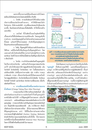 ⌫                                                                                                                        Freezing                                              Thawing
                                                                                                                                                                                                   Quick Freezing
                                                                        ⌫                                                                                                    ⌫
                                              ⌫                                                                                                                  ⌫
                                                      ⌫                                                                              ⌫                                           ⌫
          ⌦                           ⌫                                                                                                                                                            small ice crytals                                    Cell wall intact
                          ⌫                                                                                                                                                                         slow freezing
                                                                                                                                                                                     ⌫ ⌫


                                                                                                                                                             ⌫
⌦                                                                                                                                                                                                  large ice crystals                                    cell wall has been
                                                                                         ⌫                                                                                                         damage the cell wall                                  reptured
                                                                    ⌦                                                                    ⌫
                                                                                                     ⌫ ⌫                                                                                            ⌫                     ⌫
                                                                                                                                                                                                                                                    ⌦                   ⌫
                                                                                             ⌫                                                       ⌫
                                                                                                                                                                                                                                                ⌦                   ⌫
                                                                                                                                                                                                                                            ⌦               ⌫
                                                                                                                                                                                                                                                                                ⌫
                                                                                                 ⌫                           ⌫                                                                                ⌦                                                 ⌫
                              ⌫                           ⌫ ⌦                                              ⌫                                                                                                                          ⌫ ⌫
                                                                ⌦                                                                                                                                                     ⌫
                                                                                                                                                 ⌫
                                              ⌫ ⌦ ⌫                                                                ⌫                                                                                                              ⌫                                                 ⌦
                      ⌫                           ⌫                                                                                                      ⌫                                                                                                                              ⌫
                                                                                                                                                                                                              ⌦ ⌫
                                                                                     ⌫                                   ⌫                   ⌦                                                          ⌫ ⌫


                                                                                                                                                                     ⌫
                                          ⌫
                                                                                 ⌫
                                                                                ⌦ ⌫
                                                  ⌫                               ⌫                            ⌫
                                                                                                                                                                                                          ⌫
                                                                                                                                 ⌦                                                                                                                                          ⌫
                                                                                                                                                                                                                  ⌫
    ⌫ ⌫                                                                                                            ⌫ ⌫                                                                                                        ⌧
                                                                                                                                                                                               ⌫

              ⌫                   ⌫                                                                                                                                      ⌦
                  ⌦


KEEP KOOL                                                                                                                                                                                  9                                                                                June 2009
 