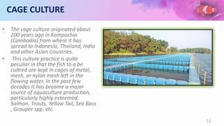CAGE CULTURE
• The cage culture originated about
200 years ago in Kampuchia
(Combodia) from where it has
spread to Indonesia, Thailand, India
and other Asian Countries.
• This culture practice is quite
peculiar in that the fish to a be
cultred are kept in cages of metal,
mesh, or nylon mesh left in the
flowing water. In the past few
decades it has become a major
source of aquaculture production,
particularly highly esteemed,
Salmon, Trouts, Yellow Tail, Sea Bass
, Grouper spp. etc.
14
 