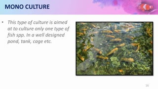 MONO CULTURE
• This type of culture is aimed
at to culture only one type of
fish spp. In a well designed
pond, tank, cage etc.
16
 