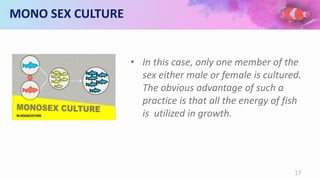MONO SEX CULTURE
• In this case, only one member of the
sex either male or female is cultured.
The obvious advantage of such a
practice is that all the energy of fish
is utilized in growth.
17
 
