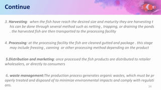 Continue
3. Harvesting: when the fish have reach the desired size and maturity they are harvesting t
his can be done through several method such as netting , trapping, or draining the ponds
. the harvested fish are then transported to the processing facility
4. Processing: at the processing facility the fish are cleaned gutted and package . this stage
may include freezing , canning or other processing method depending on the product
5.Distribution and marketing: once processed the fish products are distributed to retailer
wholesalers, or directly to consumers
6. waste management:The production process generates organic wastes, which must be pr
operly treated and disposed of to minimize environmental impacts and comply with regulati
ons. 34
 