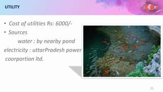 UTILITY
• Cost of utilities Rs: 6000/-
• Sources
water : by nearby pond
electricity : uttarPradesh power
coorportion ltd.
35
 