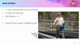 MAN POWER
• 1 man required for anole catching.
• 1 mans for feeding .
• Skill labour = 2
• Cost of man power: 56000rs/year
39
 