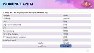 WORKING CAPITAL
2. WORKING CAPITAL(one production cycle) (Amount in Rs.)
Fish seed 70000
Fish feed 144000
Lime 5000
Single super phosphate 2500
urea 5000
Raw cow dung 10000
Harvesting charges 40000
Drying,desilting and plouging 6000
Security of pond 10000
total(b) 292500
total (a+b) 518250/-
47
 