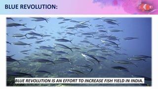 BLUE REVOLUTION:
BLUE REVOLUTION IS AN EFFORT TO INCREASE FISH YIELD IN INDIA.
5
 