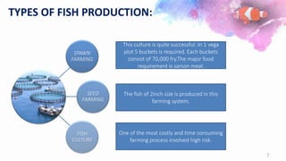 TYPES OF FISH PRODUCTION:
SPAWN
FARMING
SEED
FARMING
FISH
CULTURE
This culture is quite successful .In 1 vega
plot 5 buckets is required. Each buckets
consist of 70,000 fry.The major food
requirement is sarson meal.
The fish of 2inch size is produced in this
farming system.
One of the most costly and time consuming
farming process involved high risk.
7
 