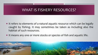 Fishery resources ppt