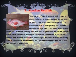 Fishes-student's project of Sto. Tomas College-Danao | PPTX