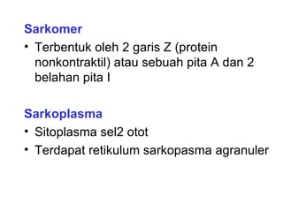 Sarkomer
• Terbentuk oleh 2 garis Z (protein
  nonkontraktil) atau sebuah pita A dan 2
  belahan pita I

Sarkoplasma
• Sitoplasma sel2 otot
• Terdapat retikulum sarkopasma agranuler
 