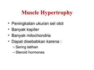 Muscle Hypertrophy
•   Peningkatan ukuran sel otot
•   Banyak kapiler
•   Banyak mitochondria
•   Dapat disebabkan karena :
    – Sering latihan
    – Steroid hormones
 